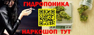 дурь Гусев